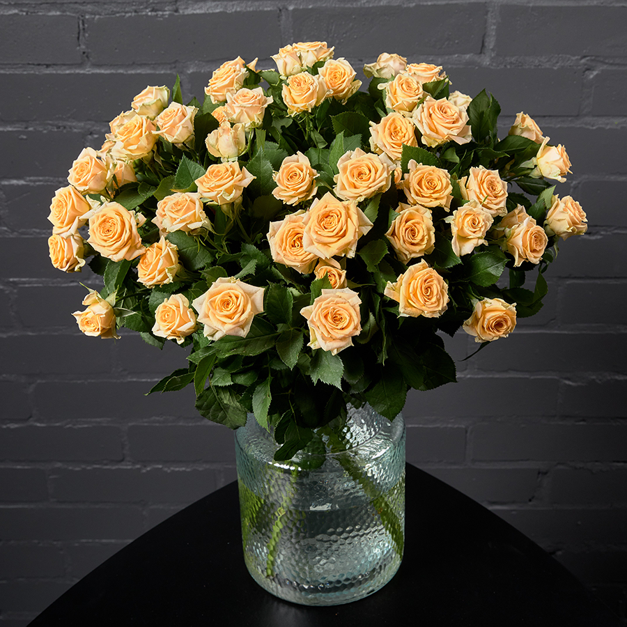 Роза кустовая кремовая