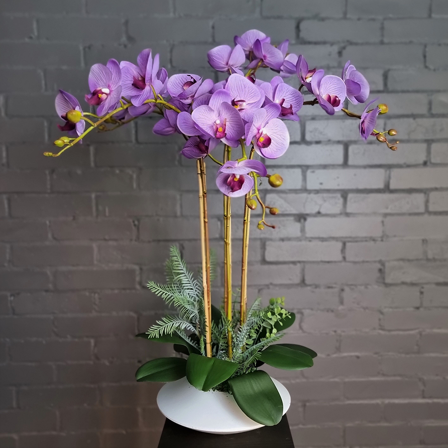 Лавандовые фаленопсисы в керамическом кашпо.