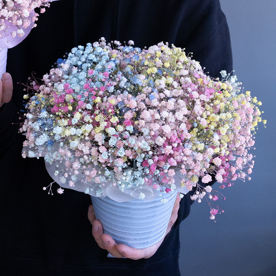 Цветная гипсофила в металлическом кашпо.