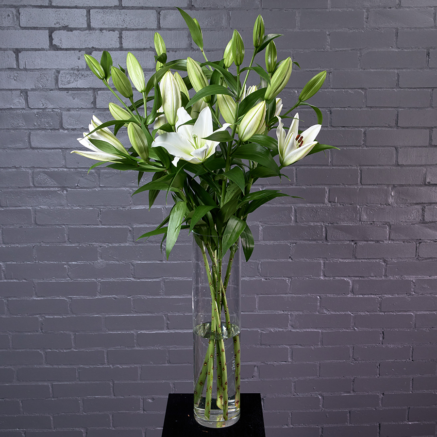Лилия восточная, белая, 5 веток.