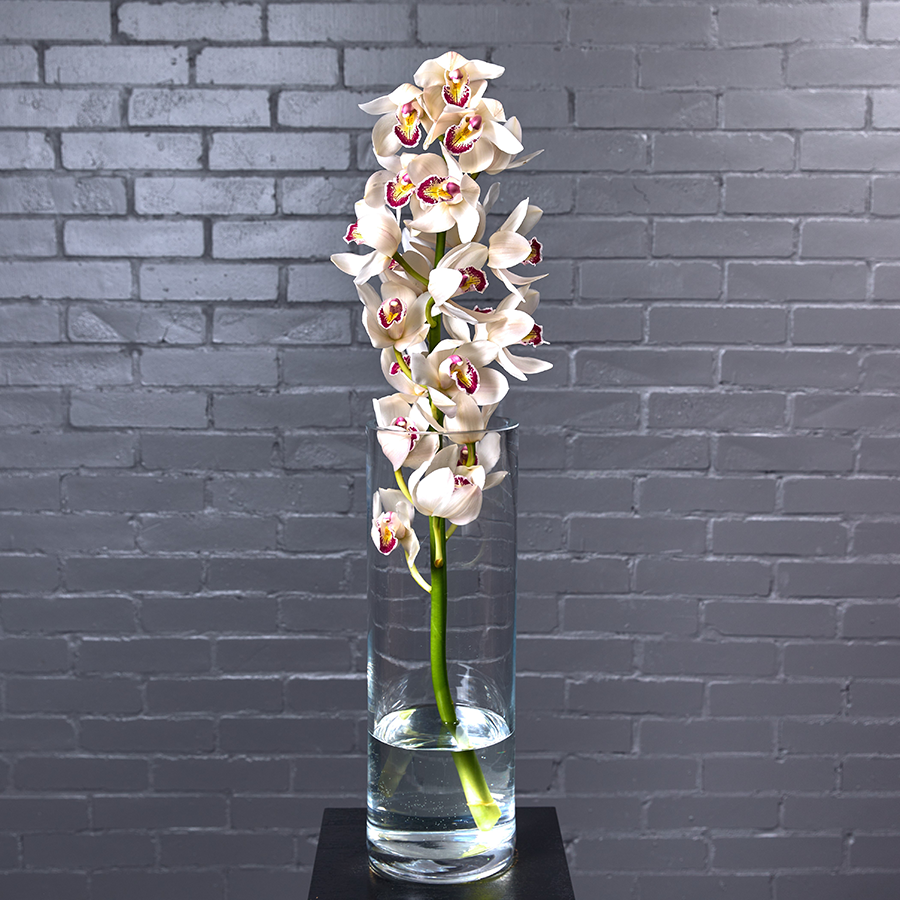 Орхидея "Цимбидиум" белая, 1 ветка.