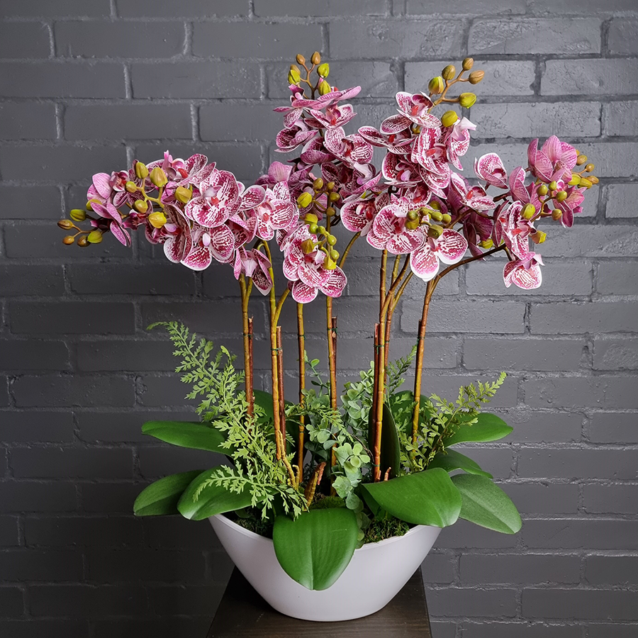 Кустовые фаленопсисы в кашпо.