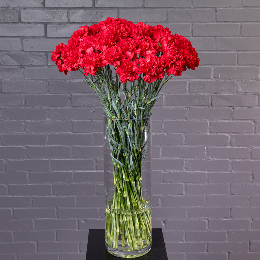 Гвоздика, 51 штука.